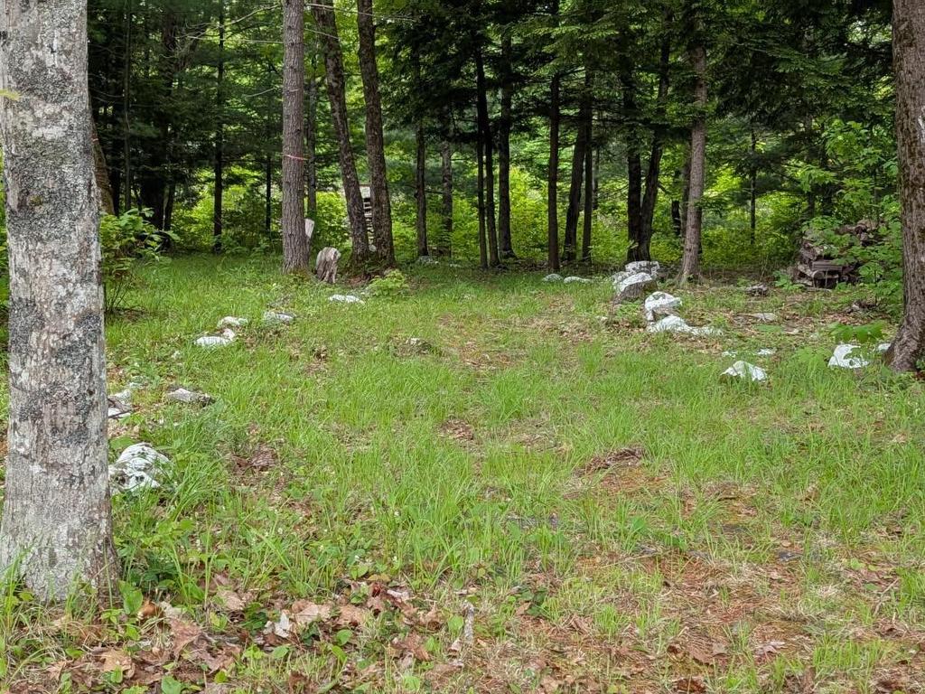 












67 Station Road

,
Beaver Bank,







NS
B4G 1C8

