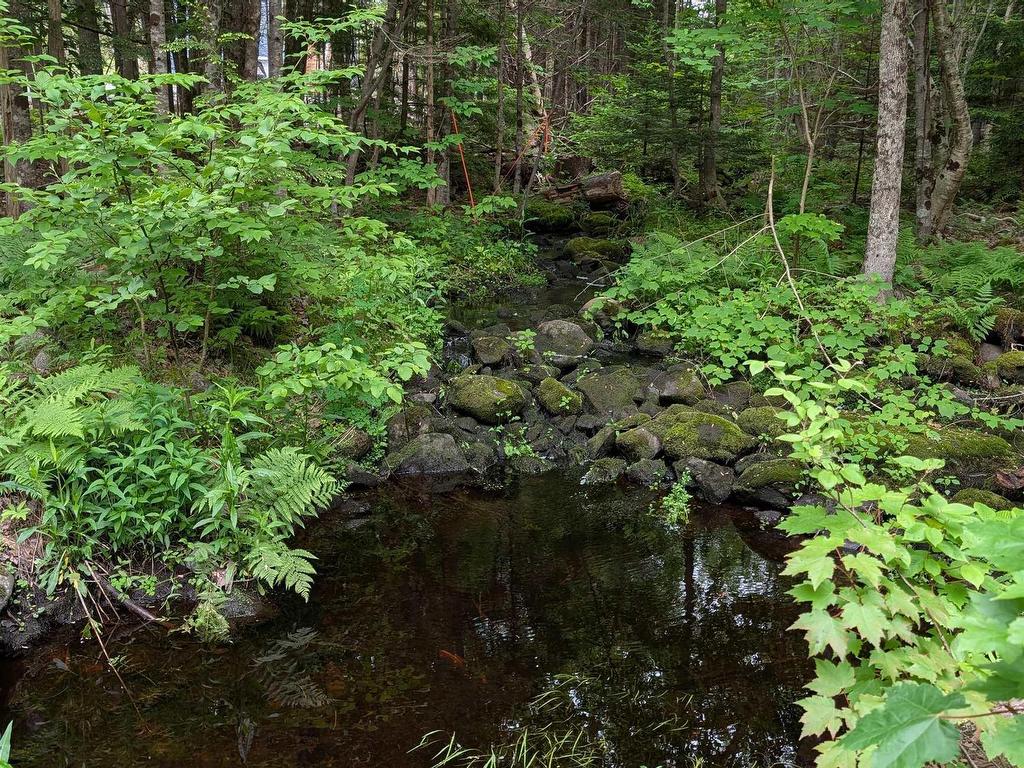 












67 Station Road

,
Beaver Bank,







NS
B4G 1C8

