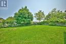Backyard View