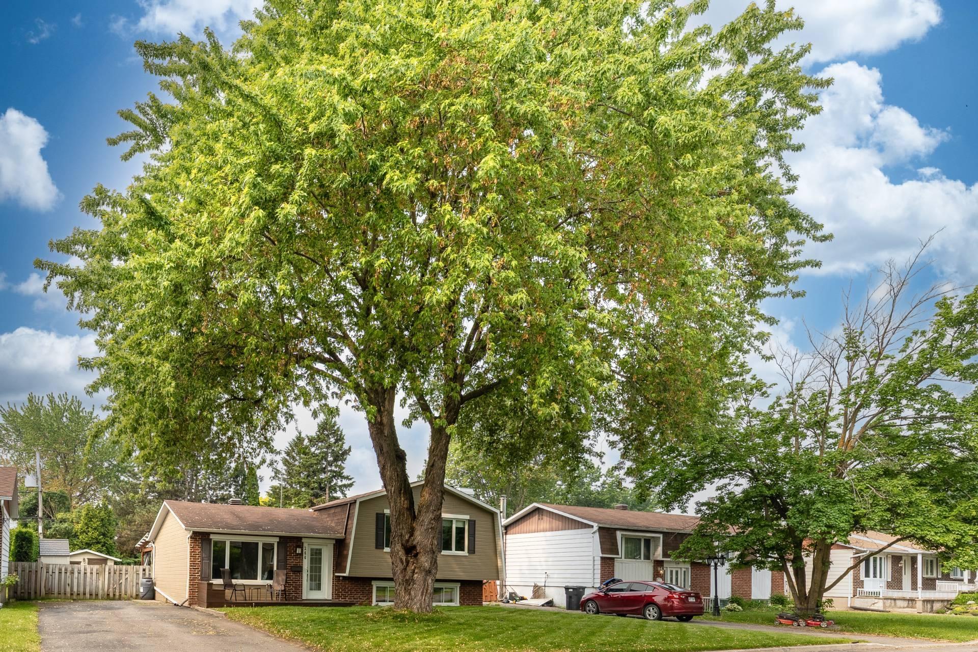 









244


Rue Liébert

,
Repentigny (Repentigny),




QC
J6A2P5

