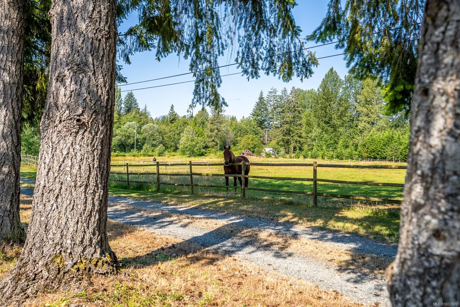 









6392


Island

Hwy North,
Courtenay,




BC
V9J 1T7


