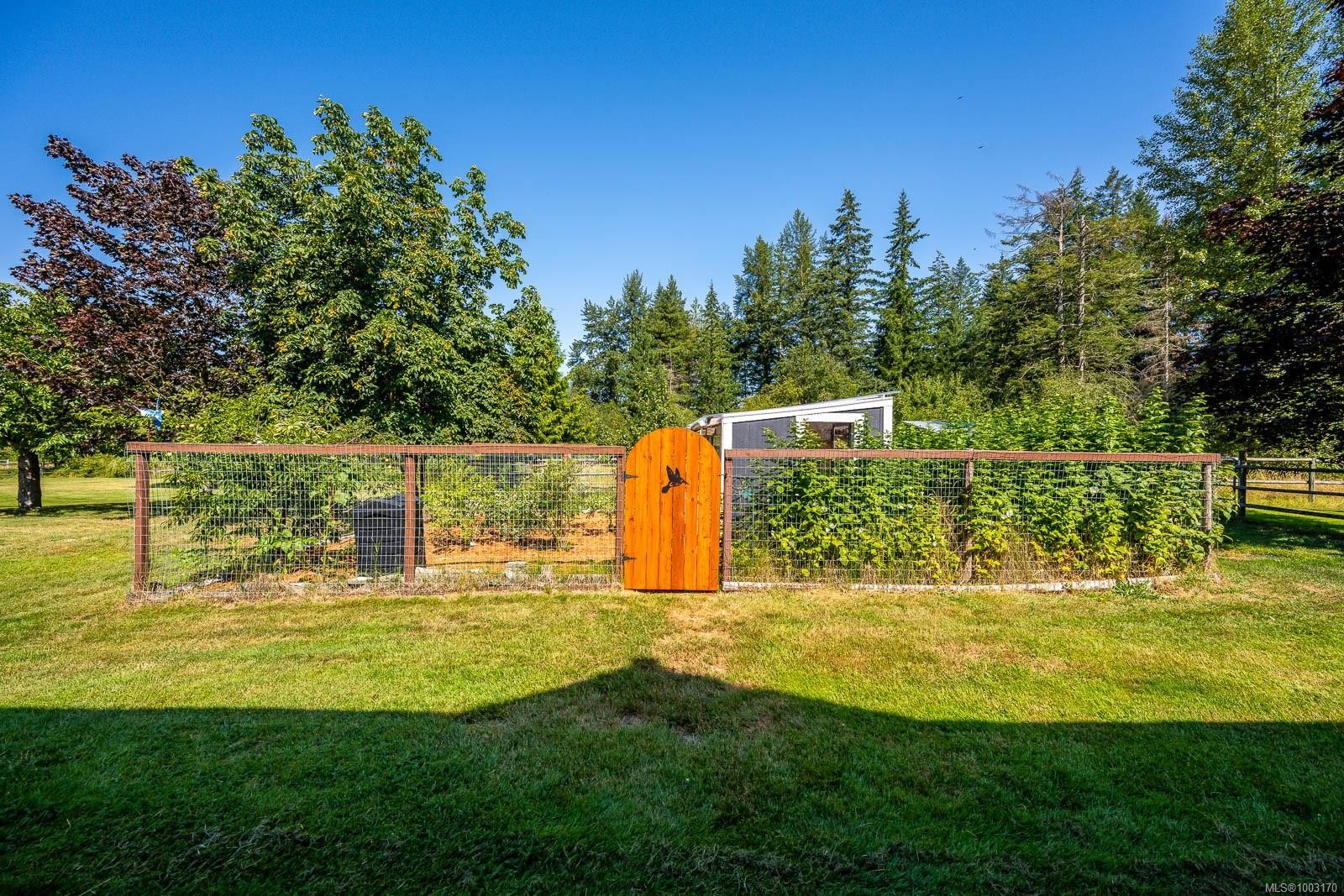









6392


Island

Hwy North,
Courtenay,




BC
V9J 1T7

