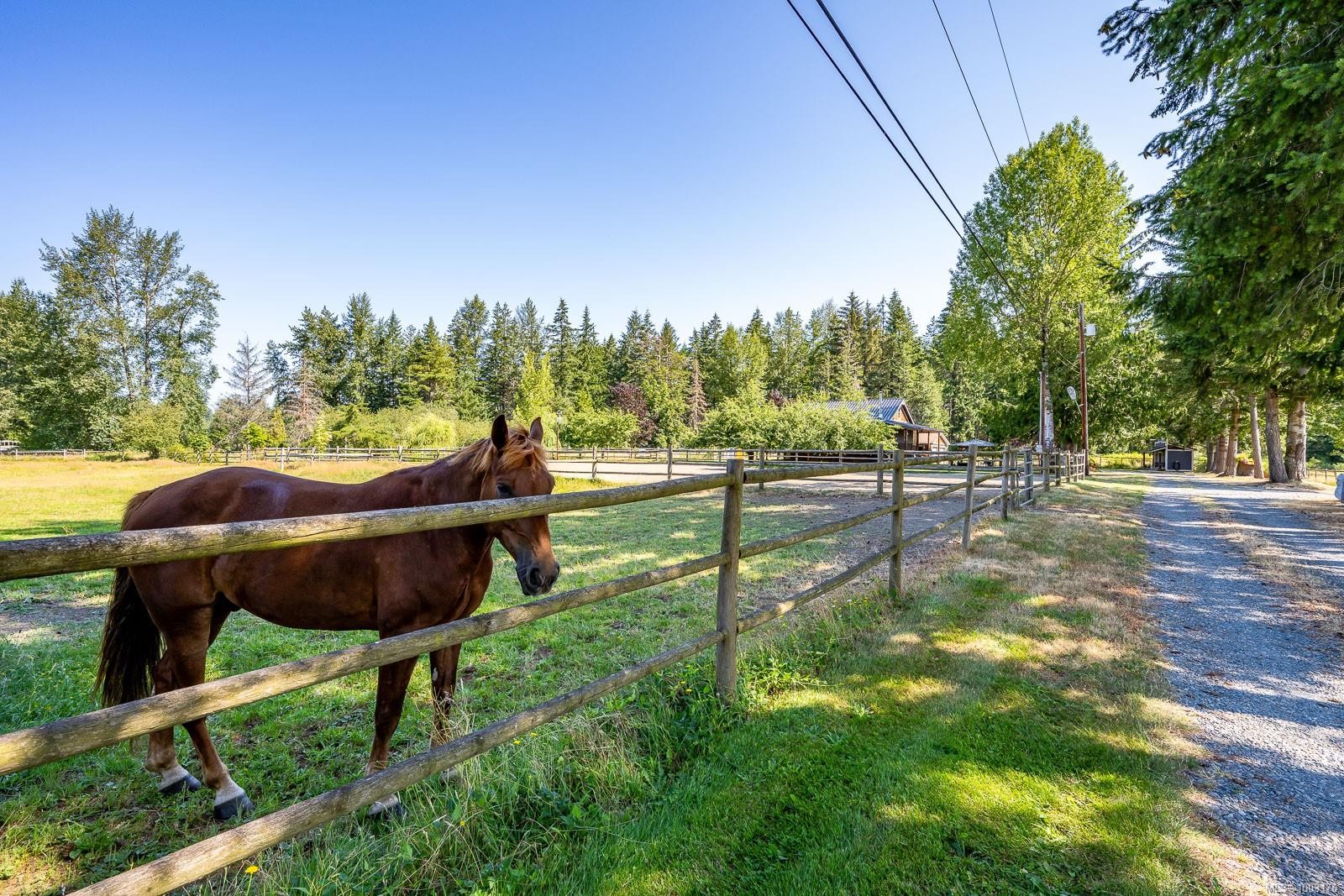 









6392


Island

Hwy North,
Courtenay,




BC
V9J 1T7

