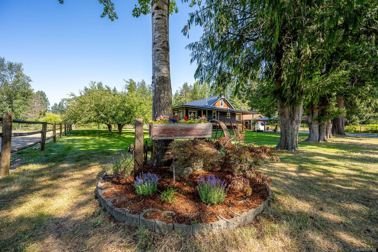 









6392


Island

Hwy North,
Courtenay,




BC
V9J 1T7

