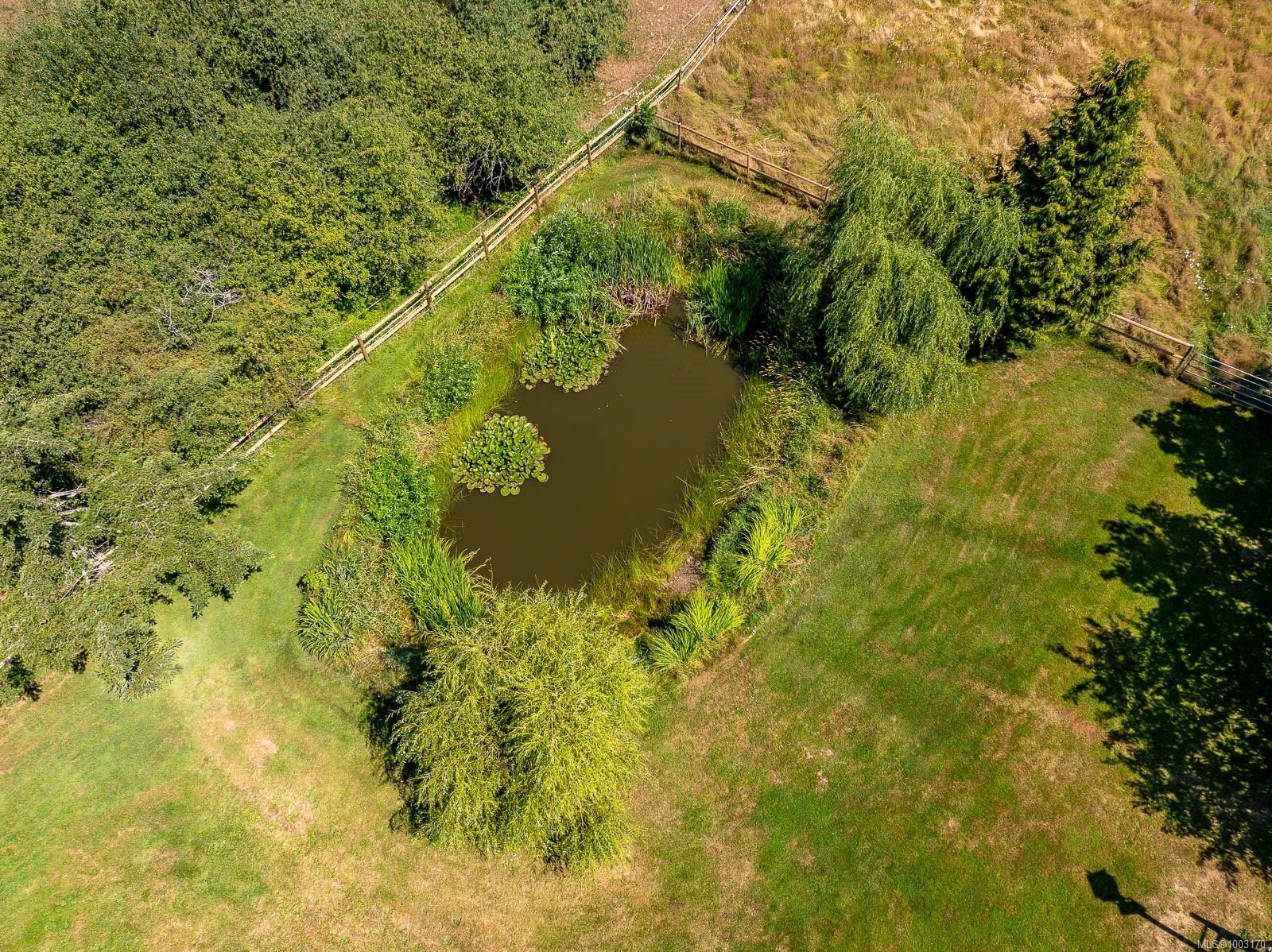 









6392


Island

Hwy North,
Courtenay,




BC
V9J 1T7

