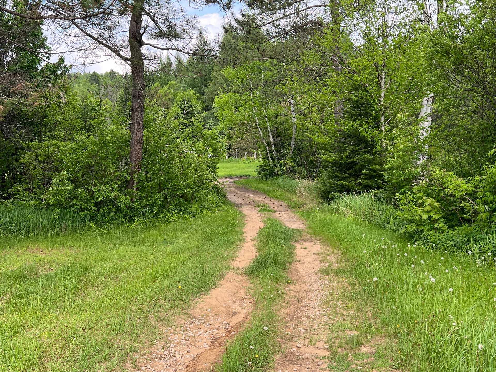 









4850


Ch. Brassard

,
Saint-Zénon,




QC
J0K3N0

