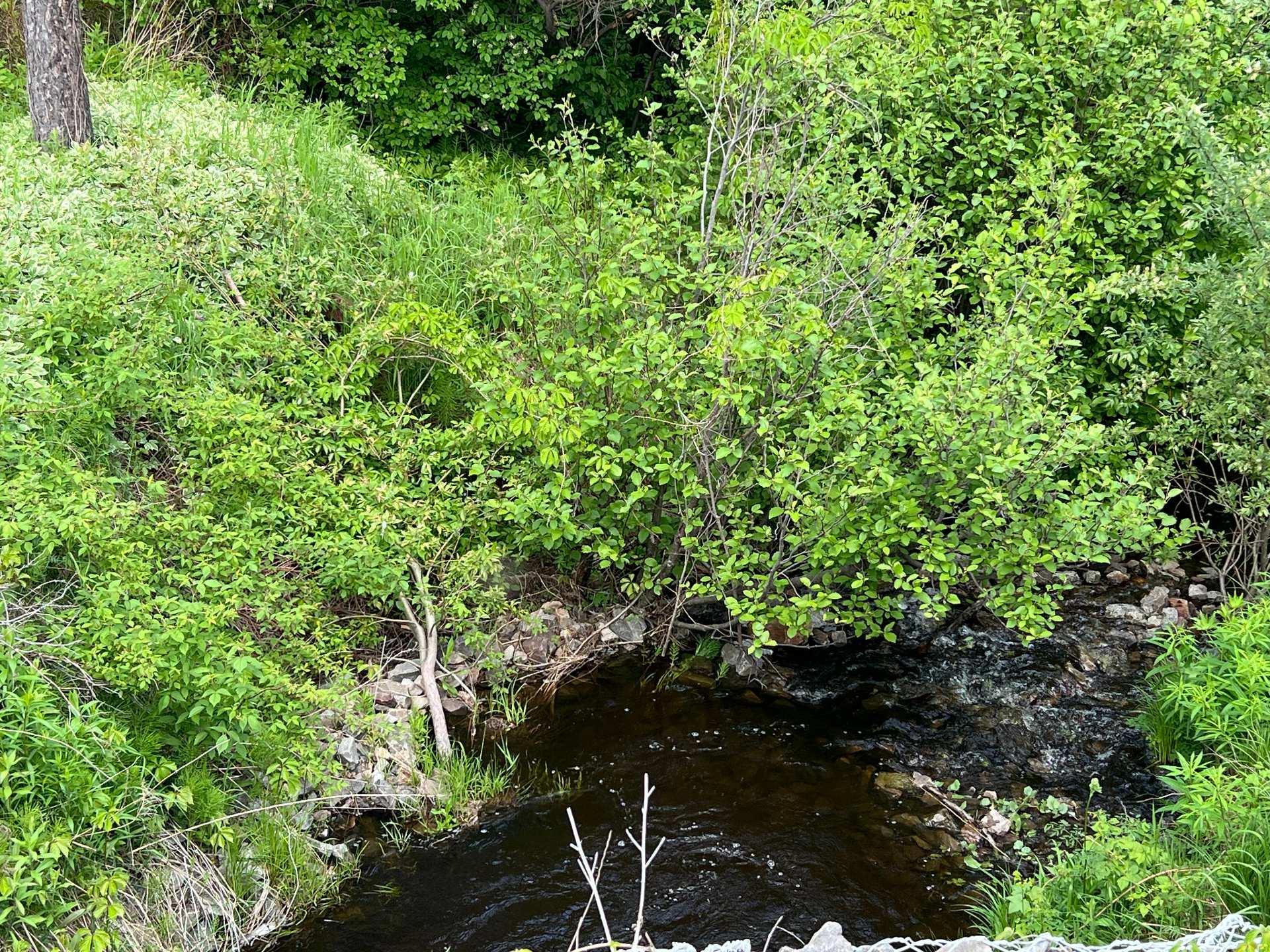 









4850


Ch. Brassard

,
Saint-Zénon,




QC
J0K3N0

