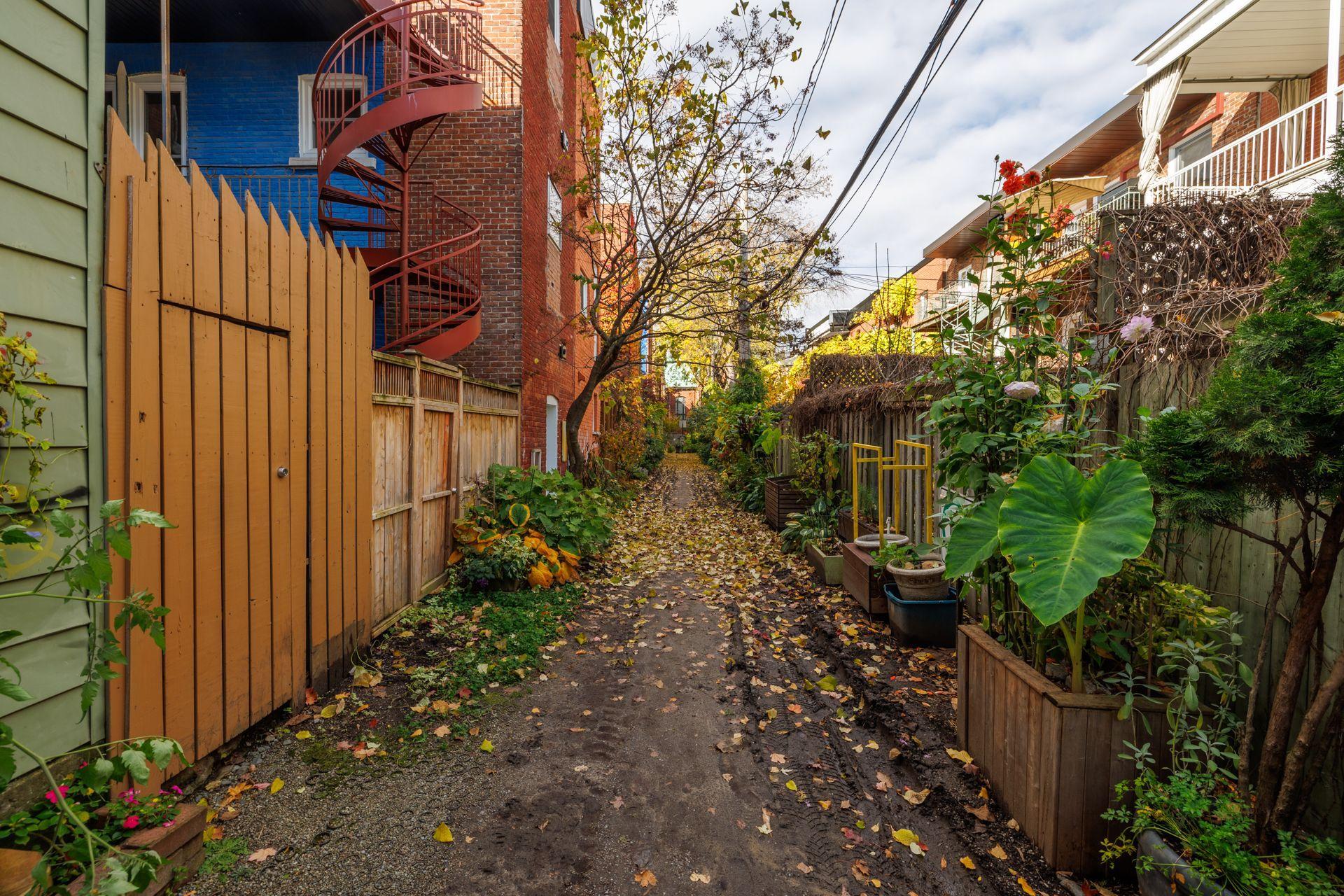 









3636


Av. Henri-Julien

, 3,
Montréal (Le Plateau-Mont-Royal),




QC
H2X3H5

