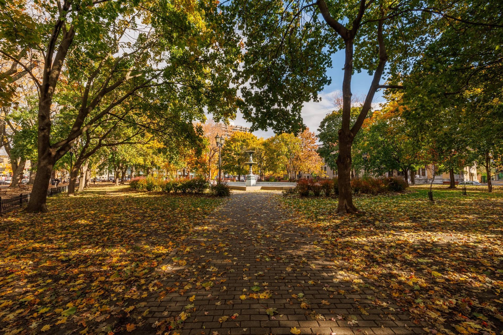 









3636


Av. Henri-Julien

, 3,
Montréal (Le Plateau-Mont-Royal),




QC
H2X3H5

