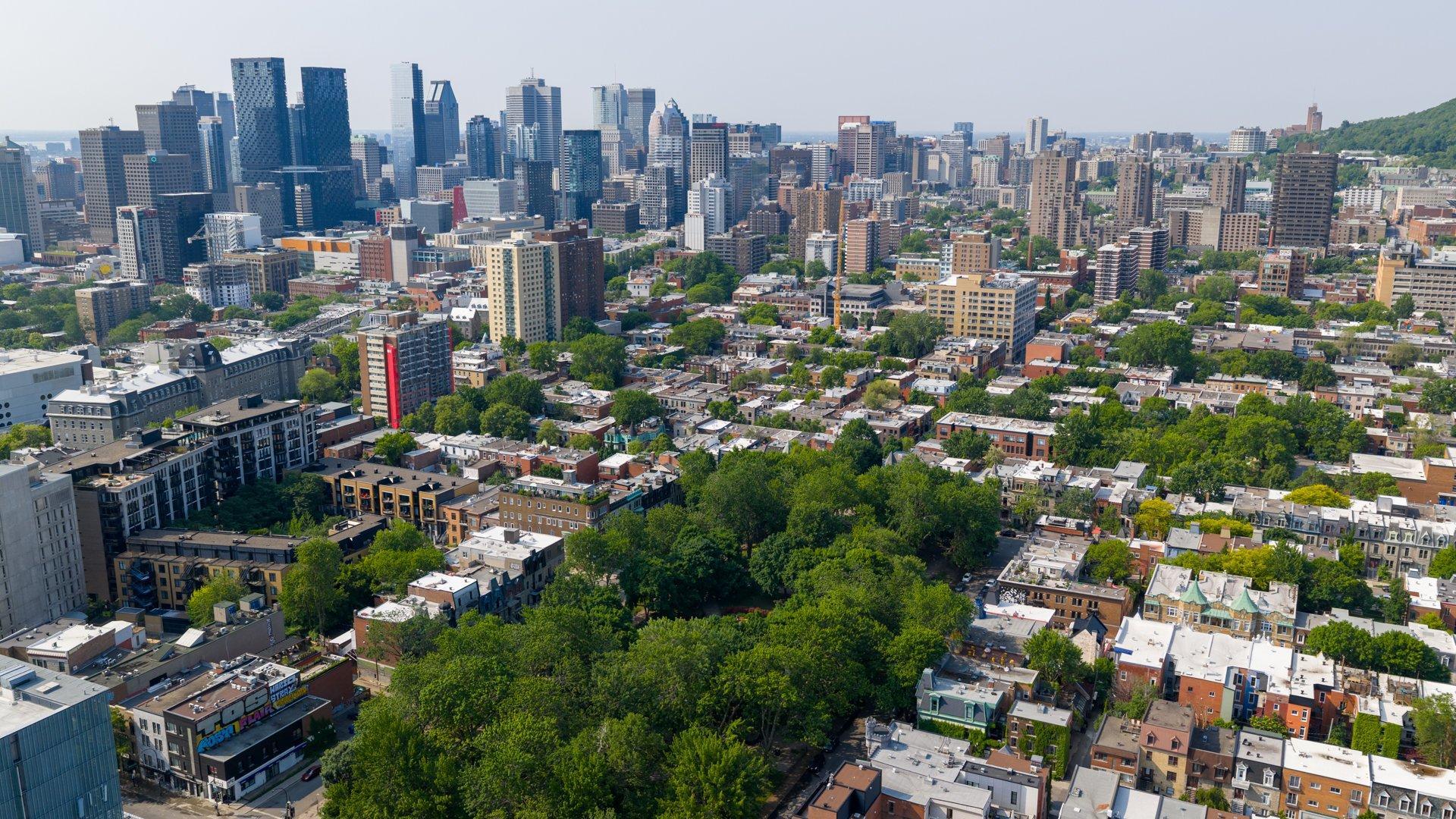 









3636


Av. Henri-Julien

, 3,
Montréal (Le Plateau-Mont-Royal),




QC
H2X3H5

