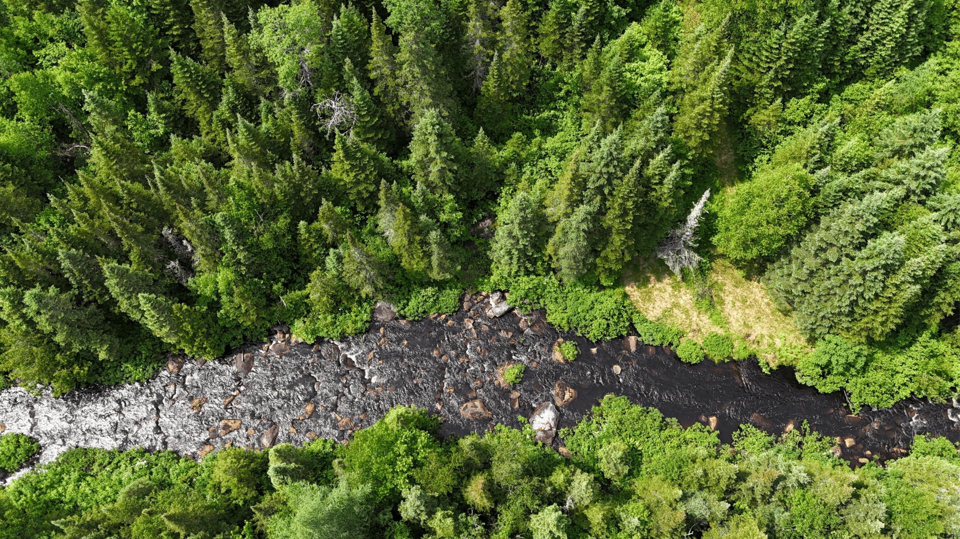









3730


Ch. des Hauteurs

,
Sainte-Lucie-des-Laurentides,




QC
J0T2J0

