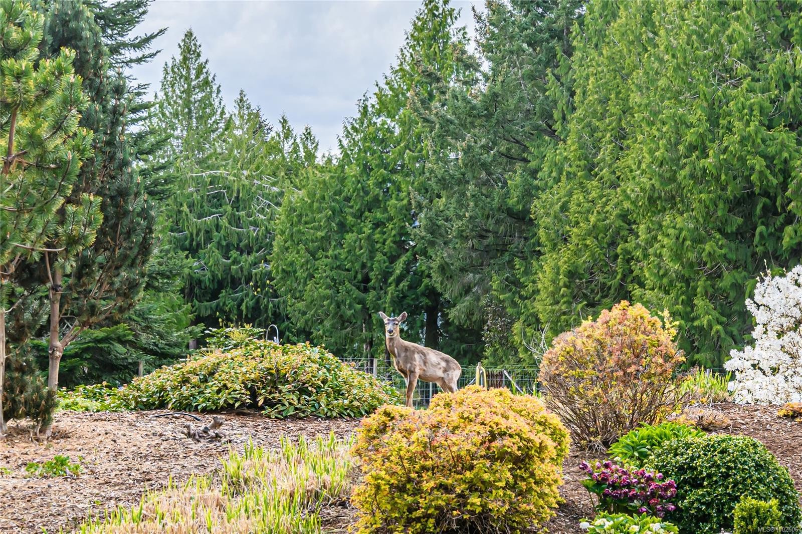 









210


Norton

Rd,
Salt Spring,




BC
V8K 1C7

