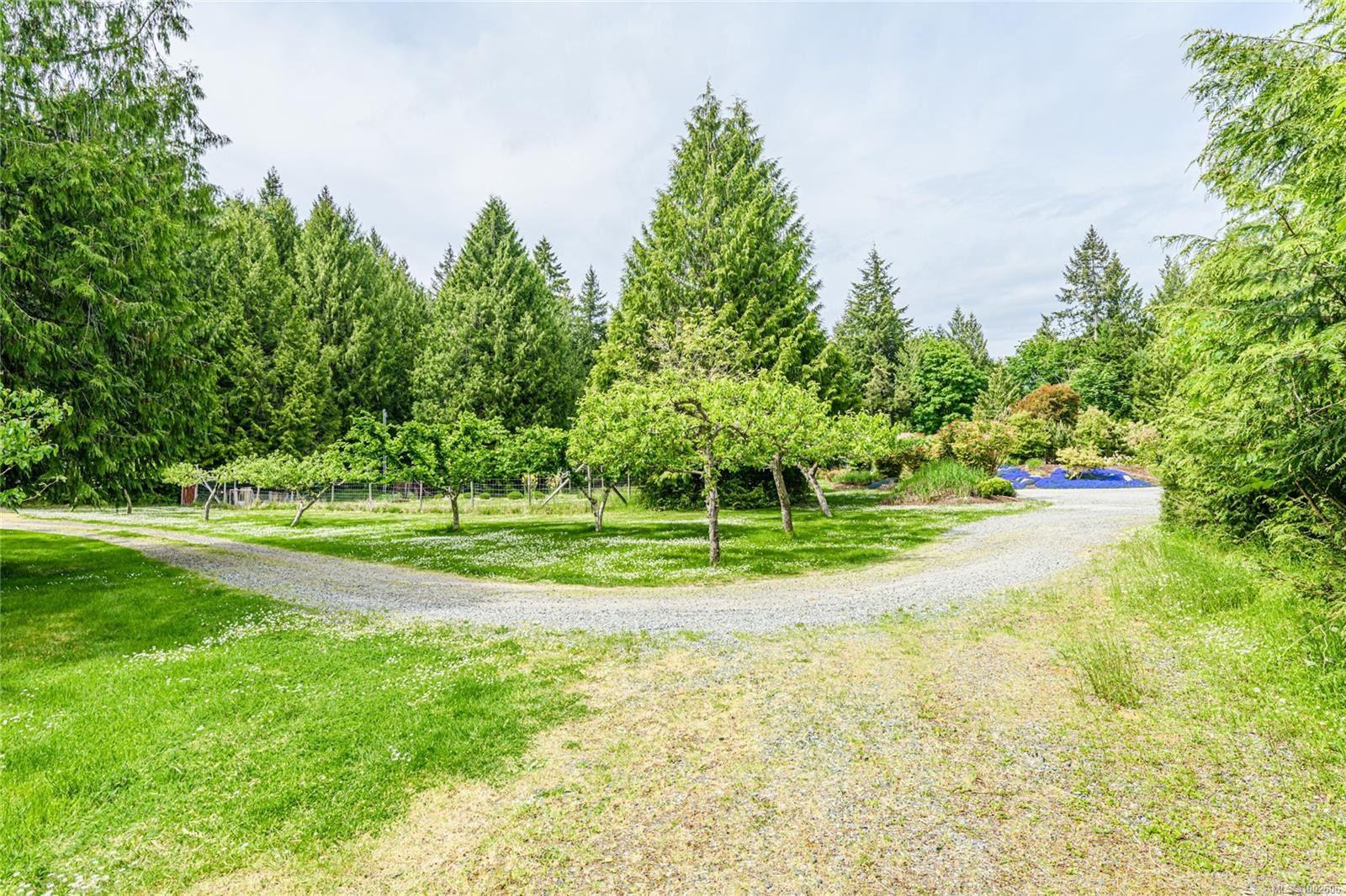 









210


Norton

Rd,
Salt Spring,




BC
V8K 1C7

