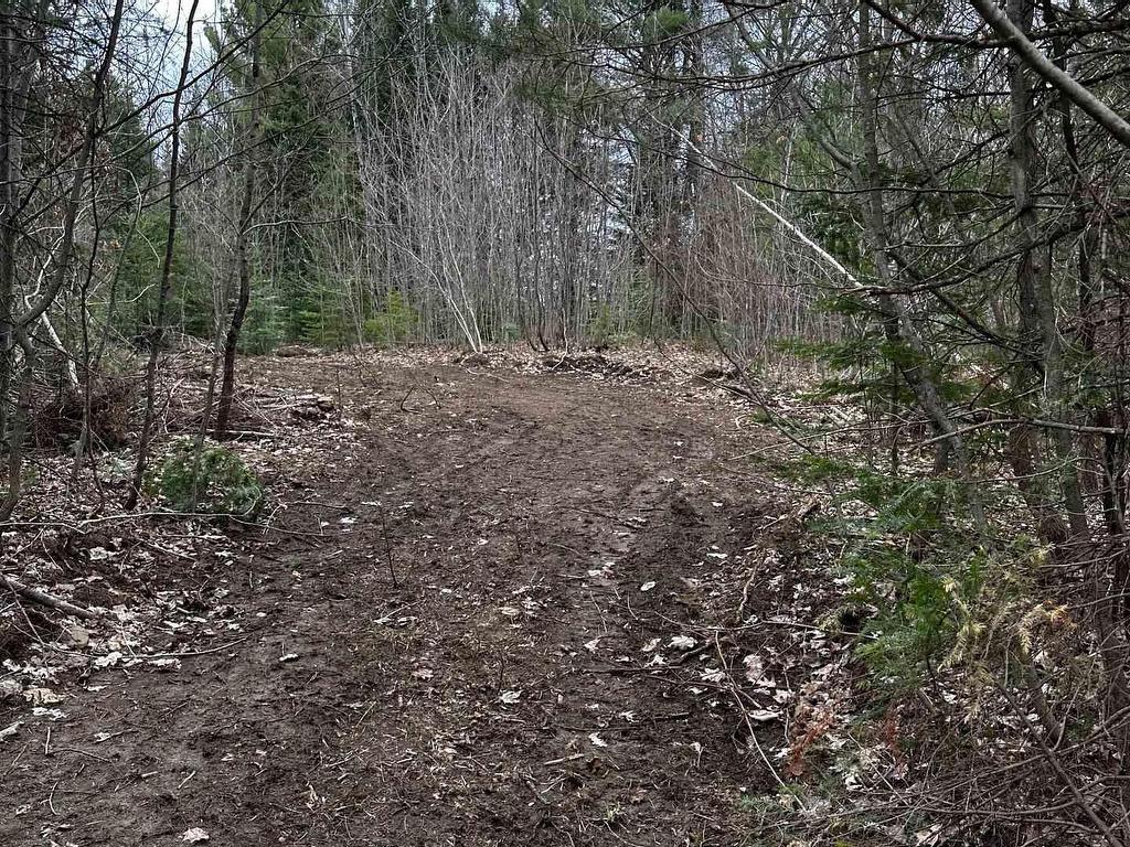 









1527


Madill

Road,
Highlands East,







ON
K0M 1R0

