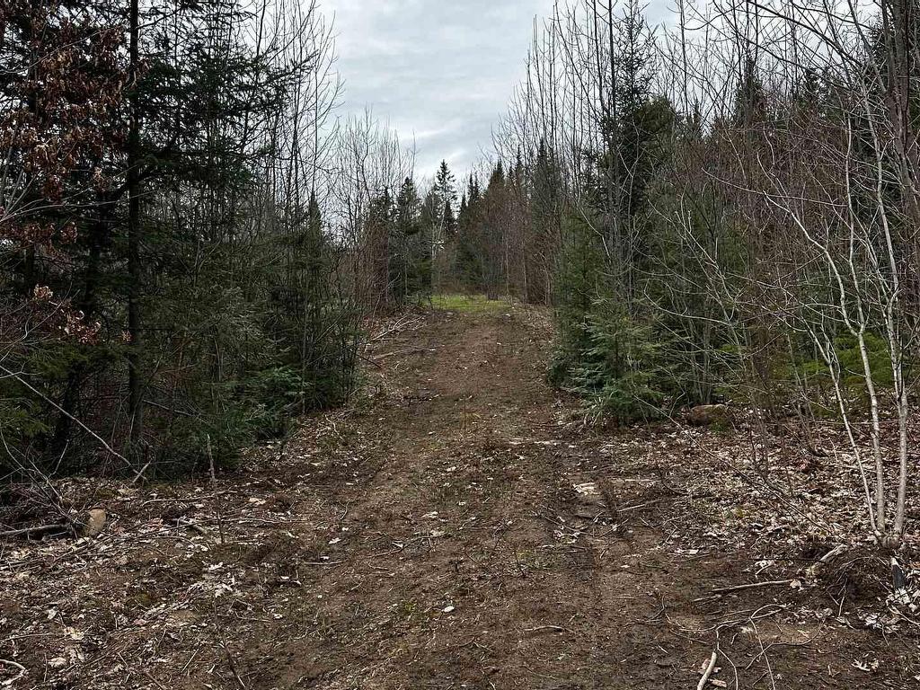 









1527


Madill

Road,
Highlands East,







ON
K0M 1R0


