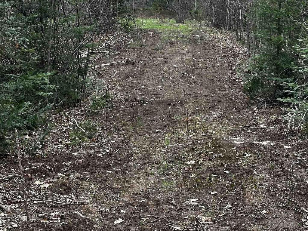 









1527


Madill

Road,
Highlands East,







ON
K0M 1R0

