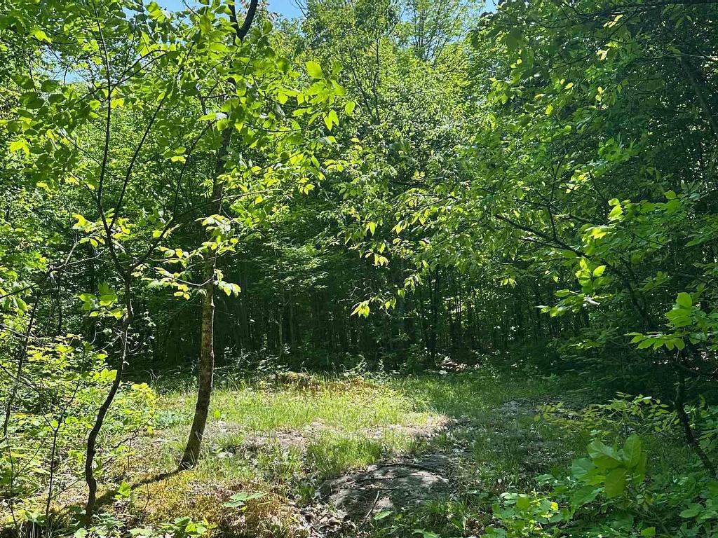 









1527


Madill

Road,
Highlands East,







ON
K0M 1R0


