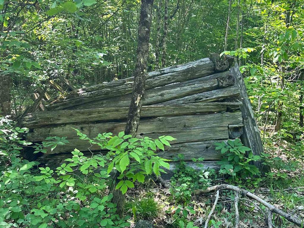 









1527


Madill

Road,
Highlands East,







ON
K0M 1R0


