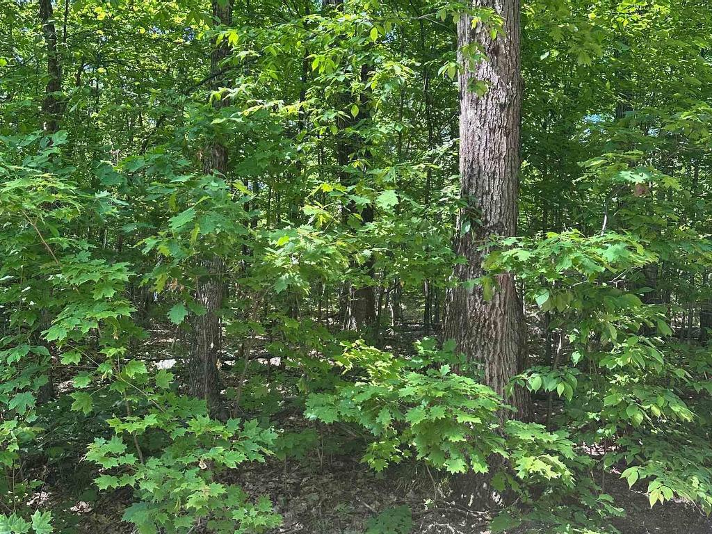 









1527


Madill

Road,
Highlands East,







ON
K0M 1R0

