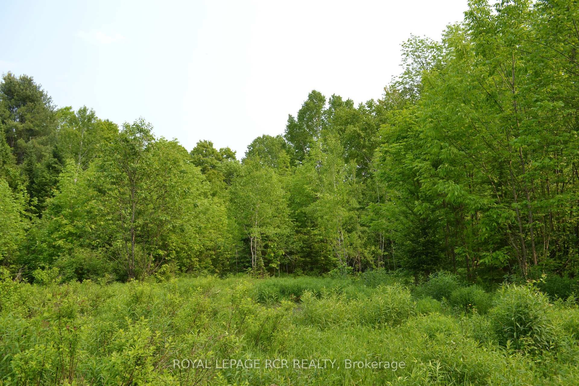 









1527


Madill

Road,
Highlands East,







ON
K0M 1R0

