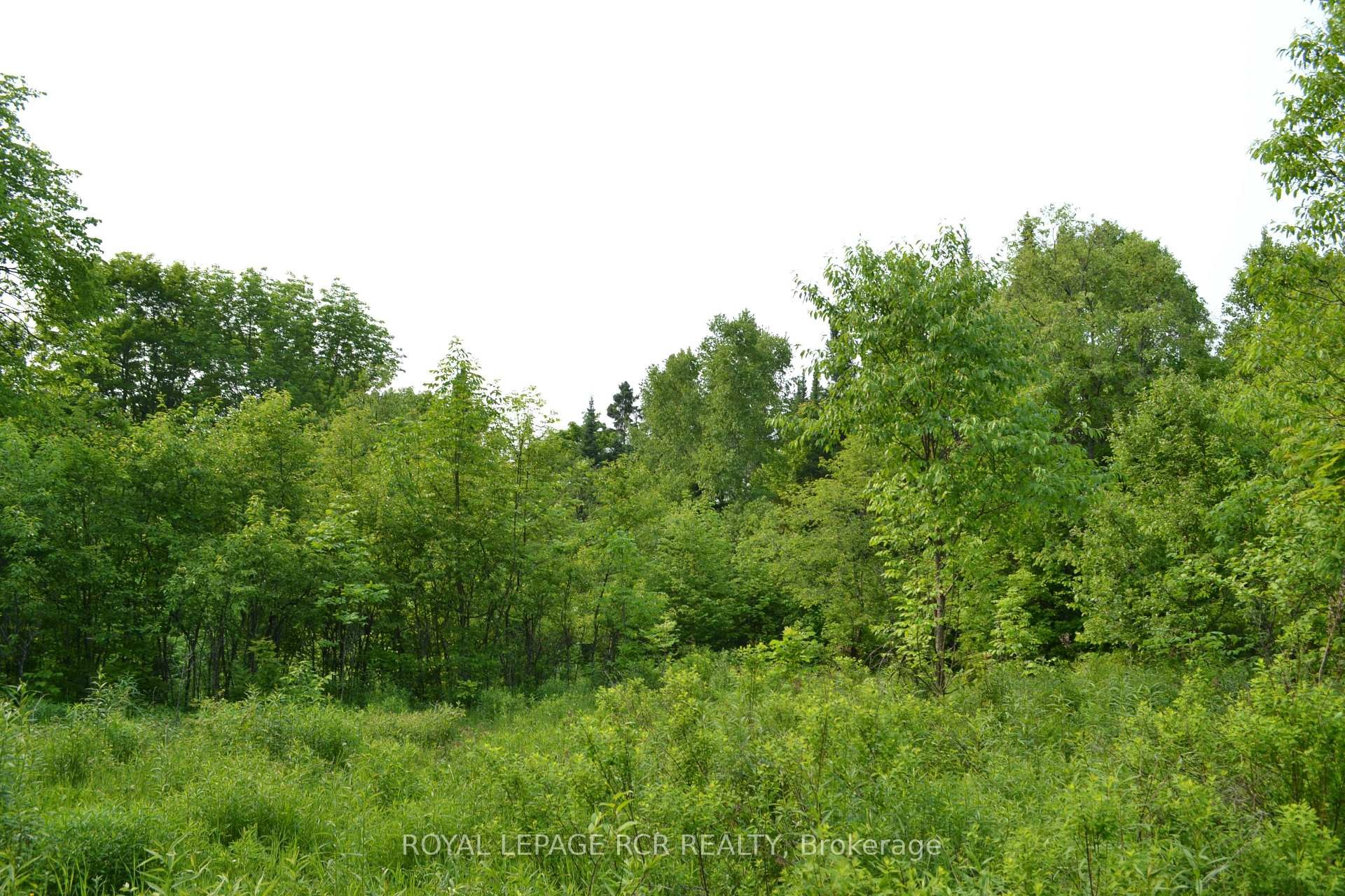 









1527


Madill

Road,
Highlands East,







ON
K0M 1R0

