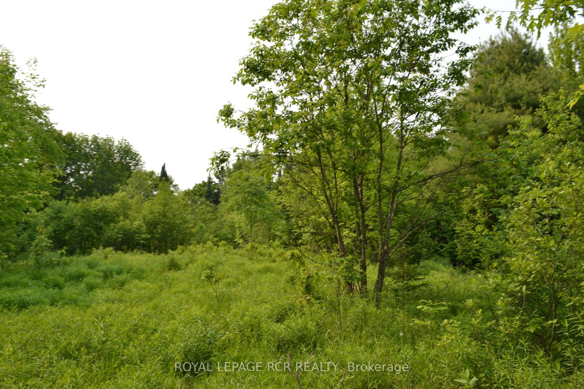 









1527


Madill

Road,
Highlands East,







ON
K0M 1R0

