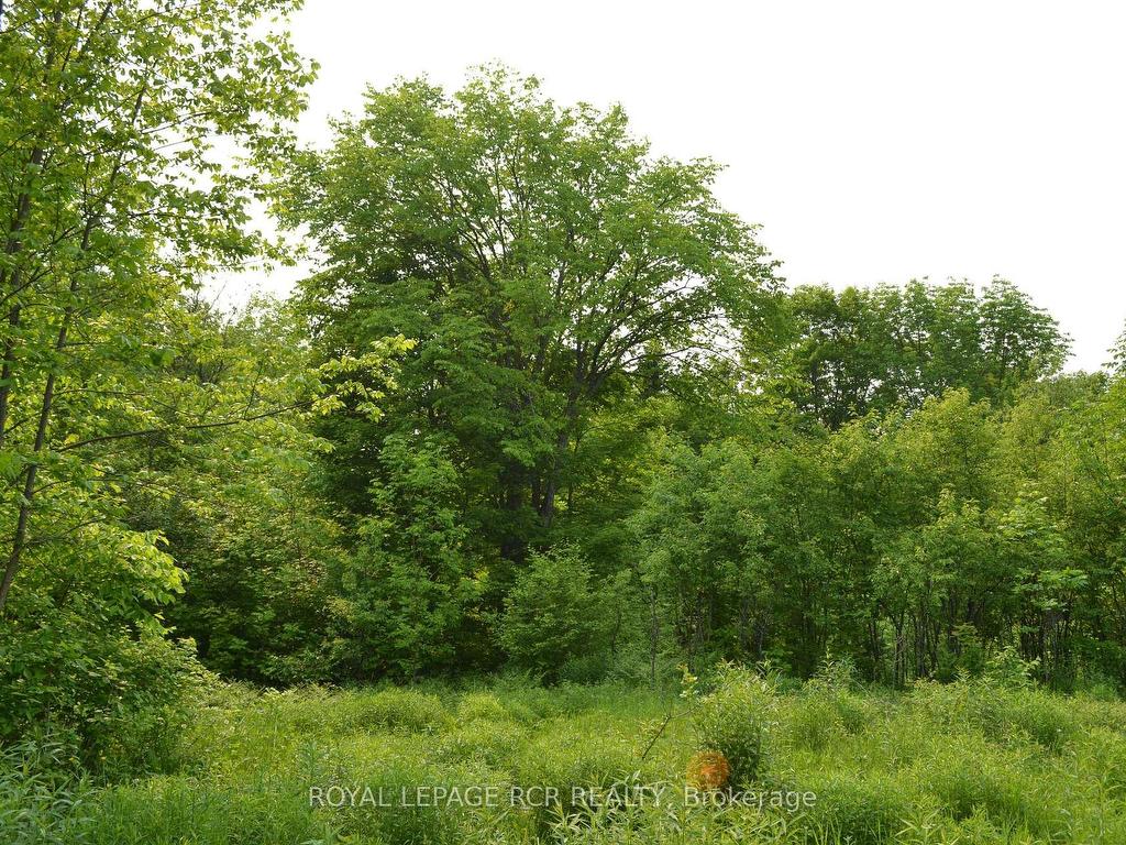 









1527


Madill

Road,
Highlands East,







ON
K0M 1R0

