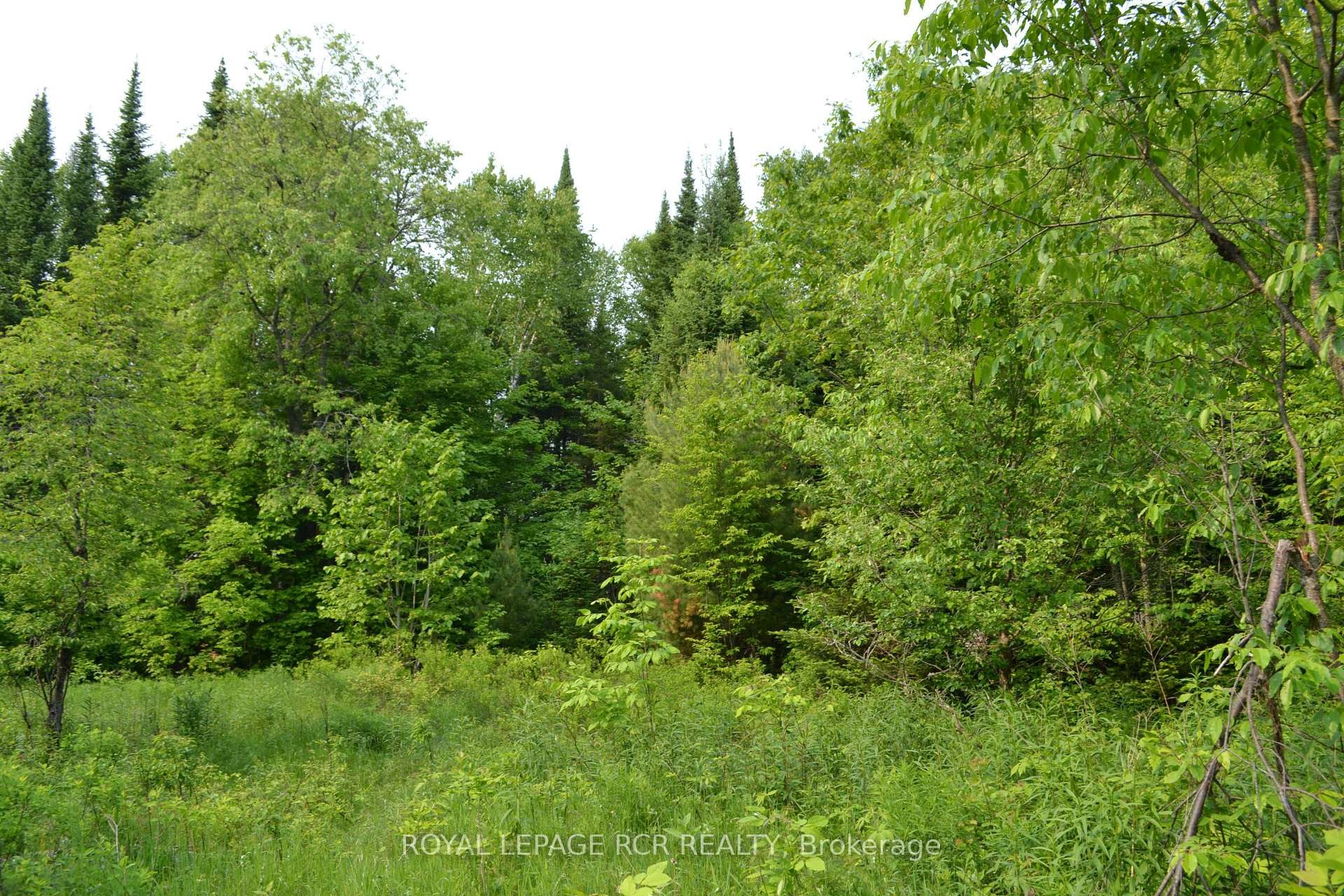 









1527


Madill

Road,
Highlands East,







ON
K0M 1R0

