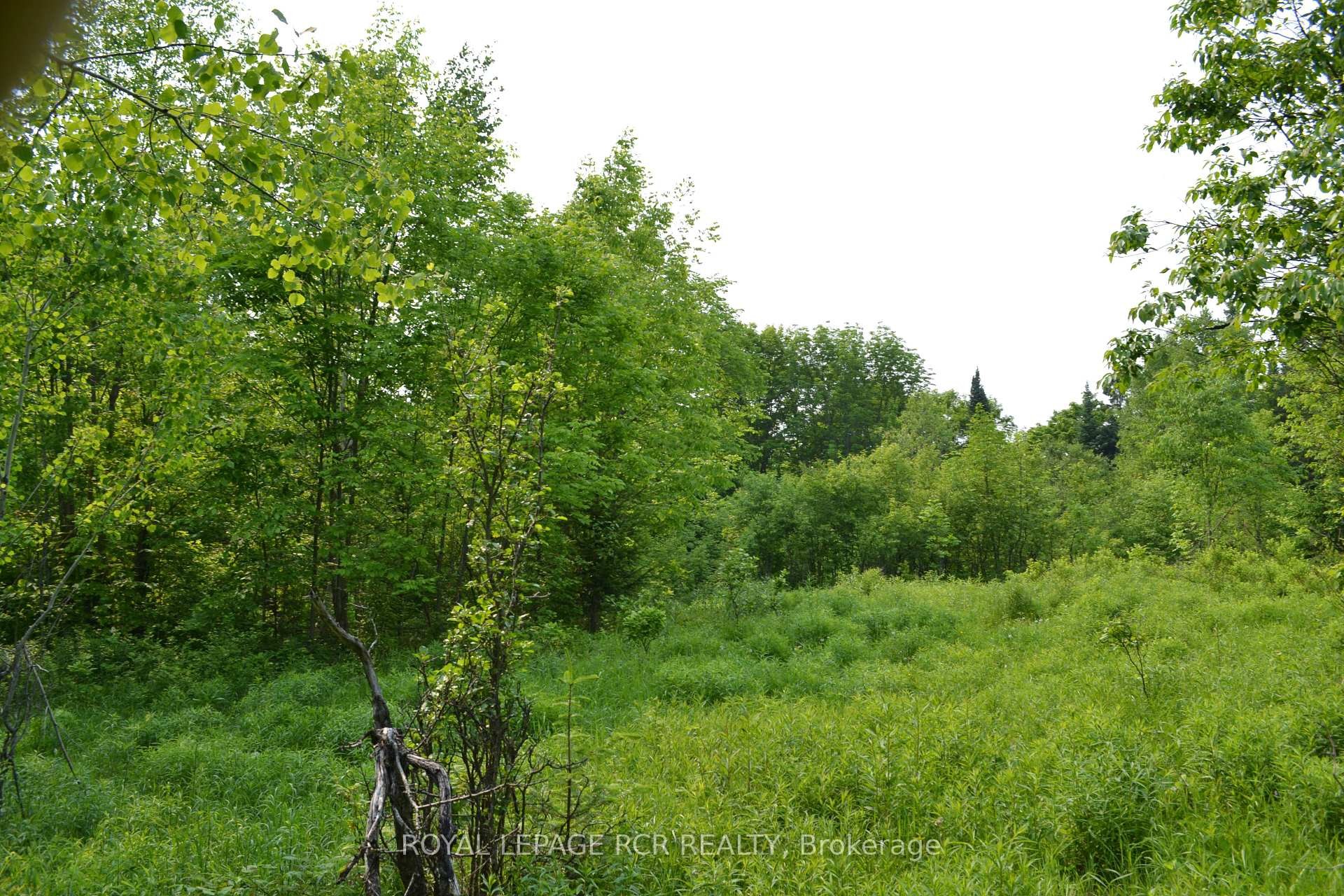 









1527


Madill

Road,
Highlands East,







ON
K0M 1R0

