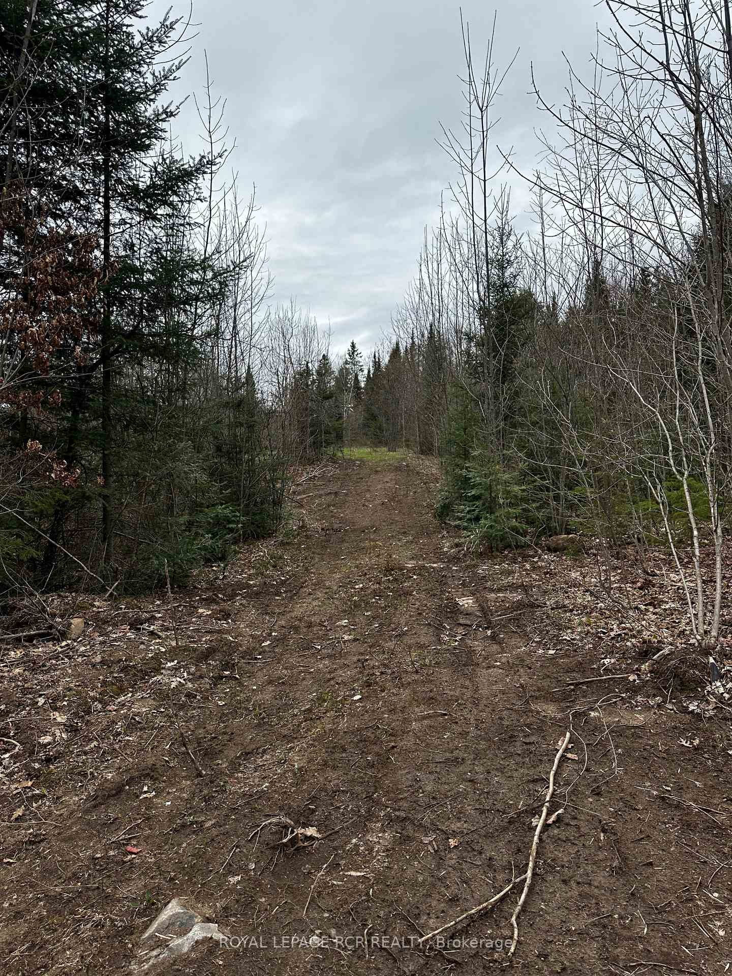 









1527


Madill

Road,
Highlands East,







ON
K0M 1R0

