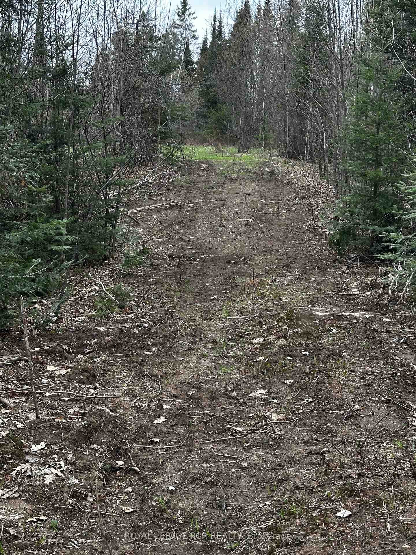 









1527


Madill

Road,
Highlands East,







ON
K0M 1R0

