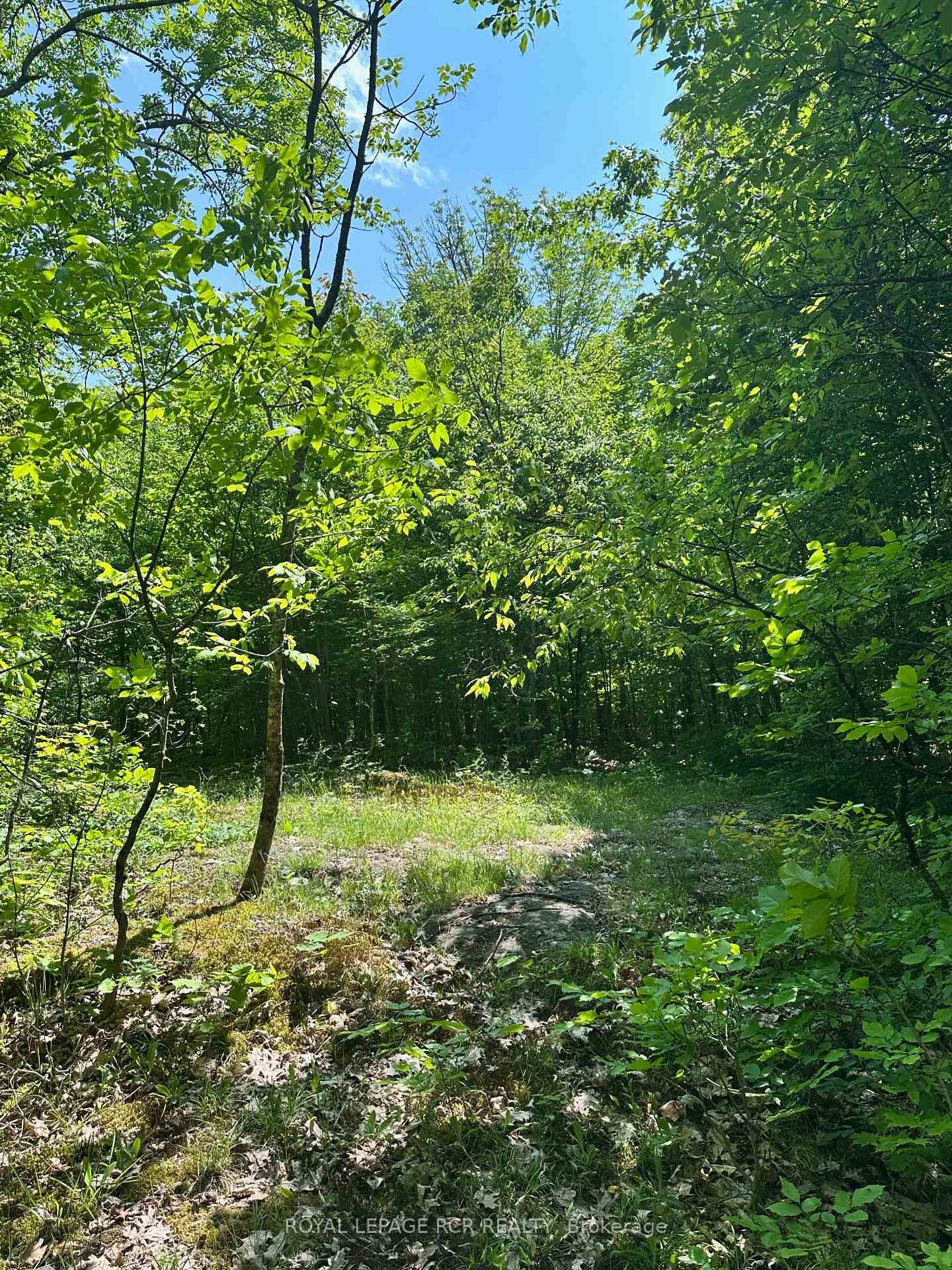 









1527


Madill

Road,
Highlands East,







ON
K0M 1R0

