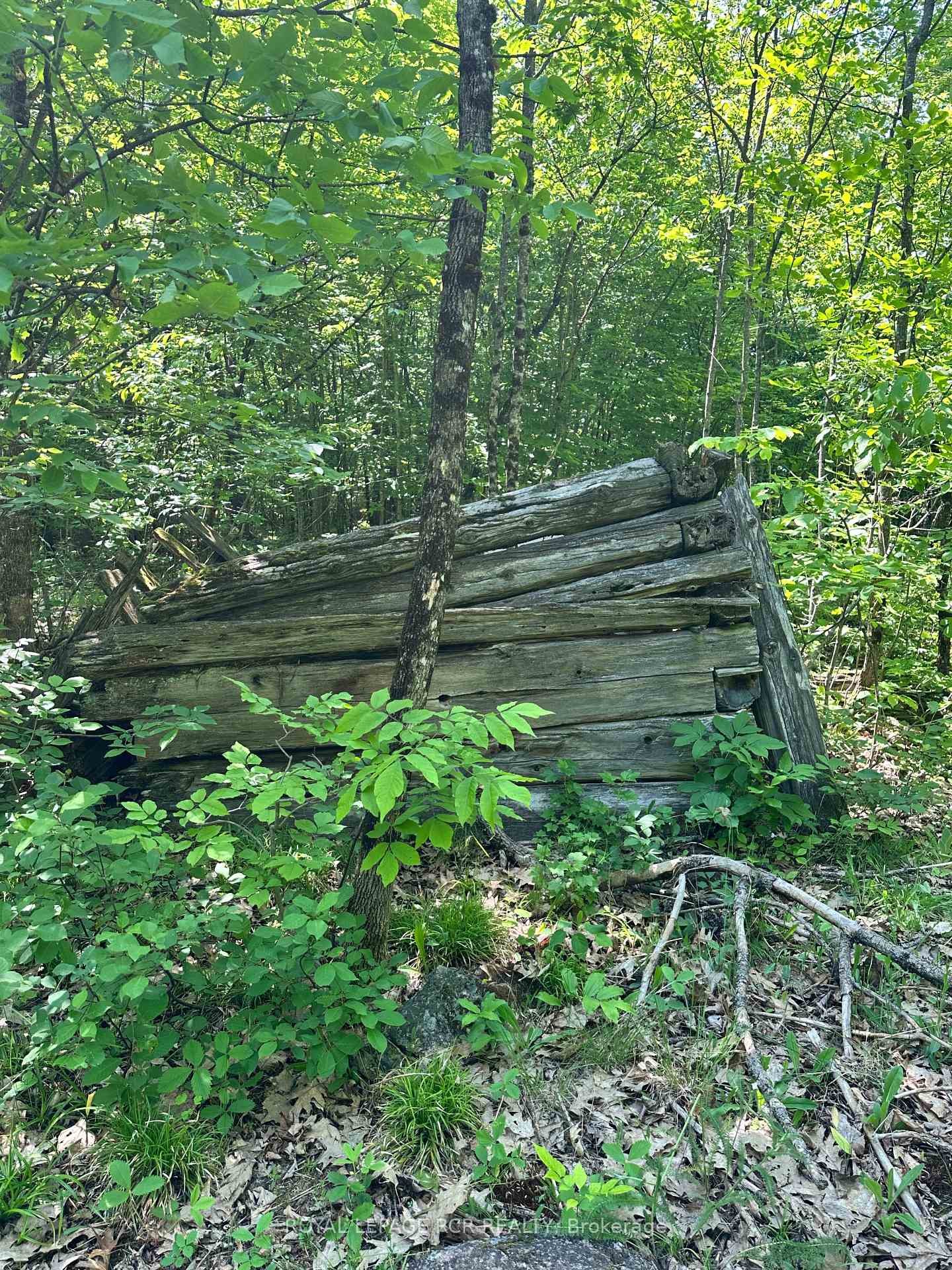 









1527


Madill

Road,
Highlands East,







ON
K0M 1R0

