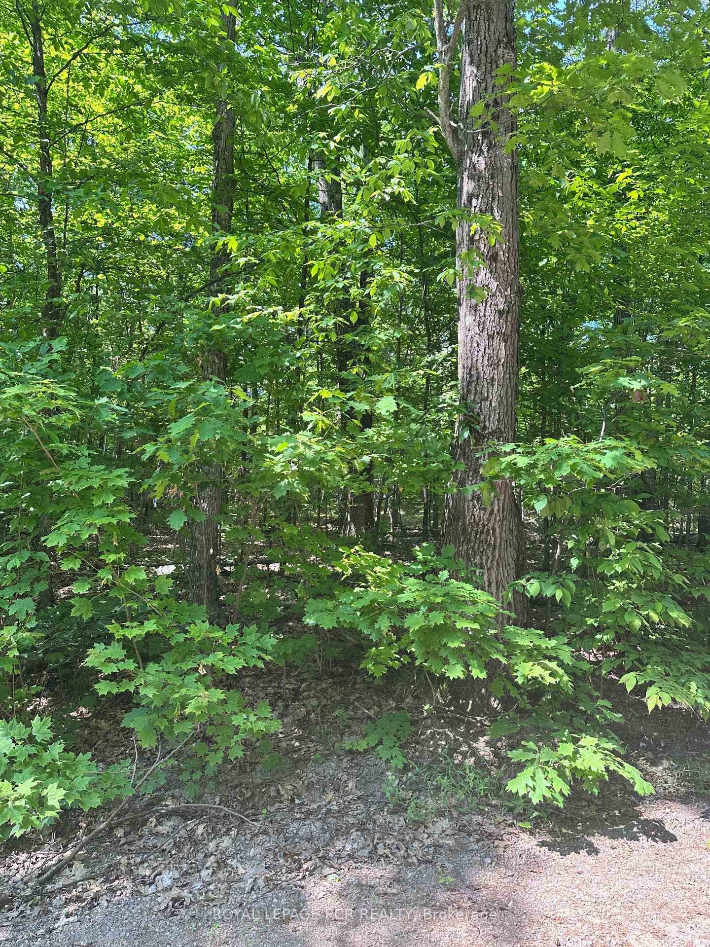 









1527


Madill

Road,
Highlands East,







ON
K0M 1R0

