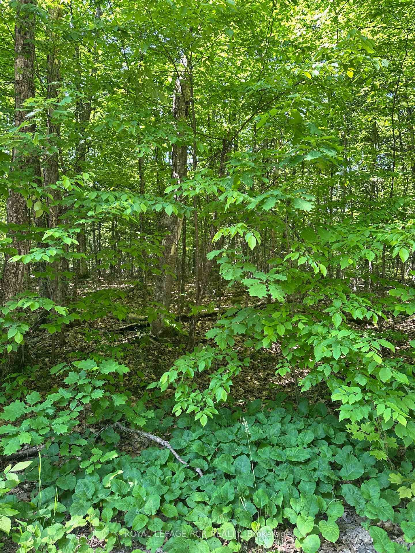 









1527


Madill

Road,
Highlands East,







ON
K0M 1R0

