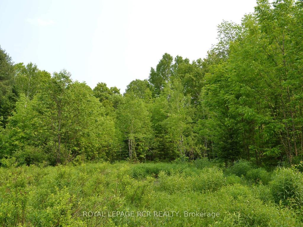 









1527


Madill

Road,
Highlands East,







ON
K0M 1R0

