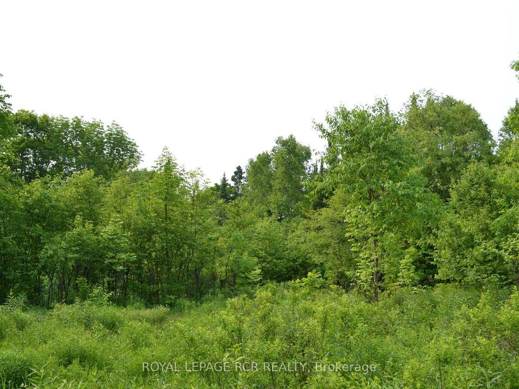 









1527


Madill

Road,
Highlands East,







ON
K0M 1R0

