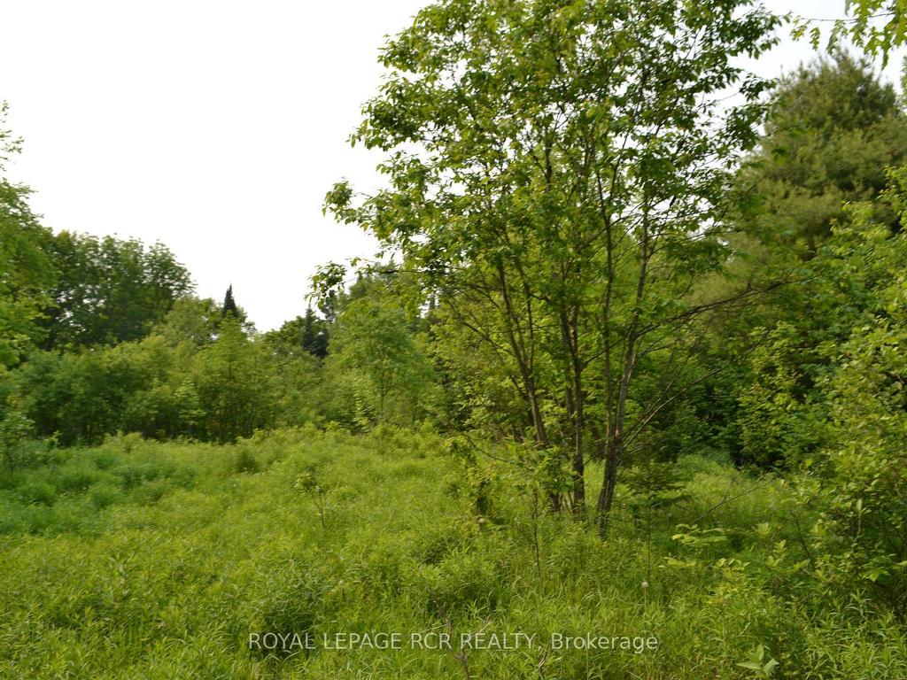 









1527


Madill

Road,
Highlands East,







ON
K0M 1R0

