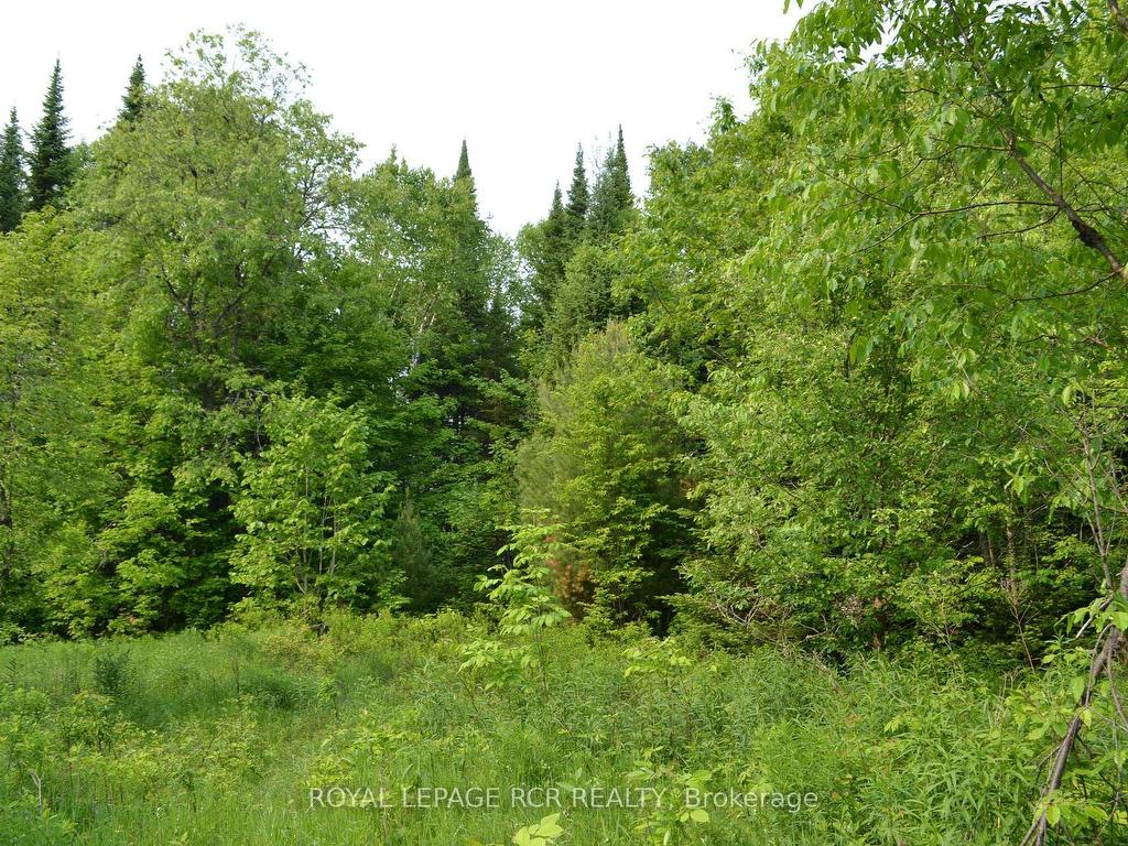 









1527


Madill

Road,
Highlands East,







ON
K0M 1R0

