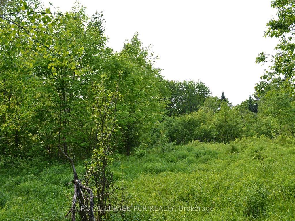 









1527


Madill

Road,
Highlands East,







ON
K0M 1R0

