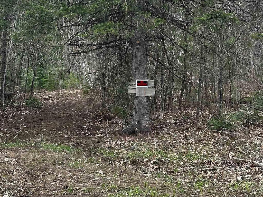 









1527


Madill

Road,
Highlands East,







ON
K0M 1R0

