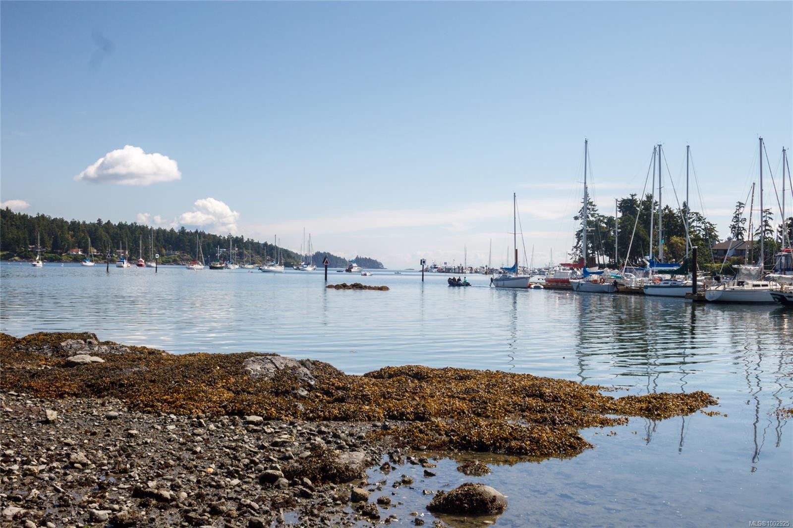 









2020


White Birch

Rd, 7,
Sidney,




BC
V8L 2R1

