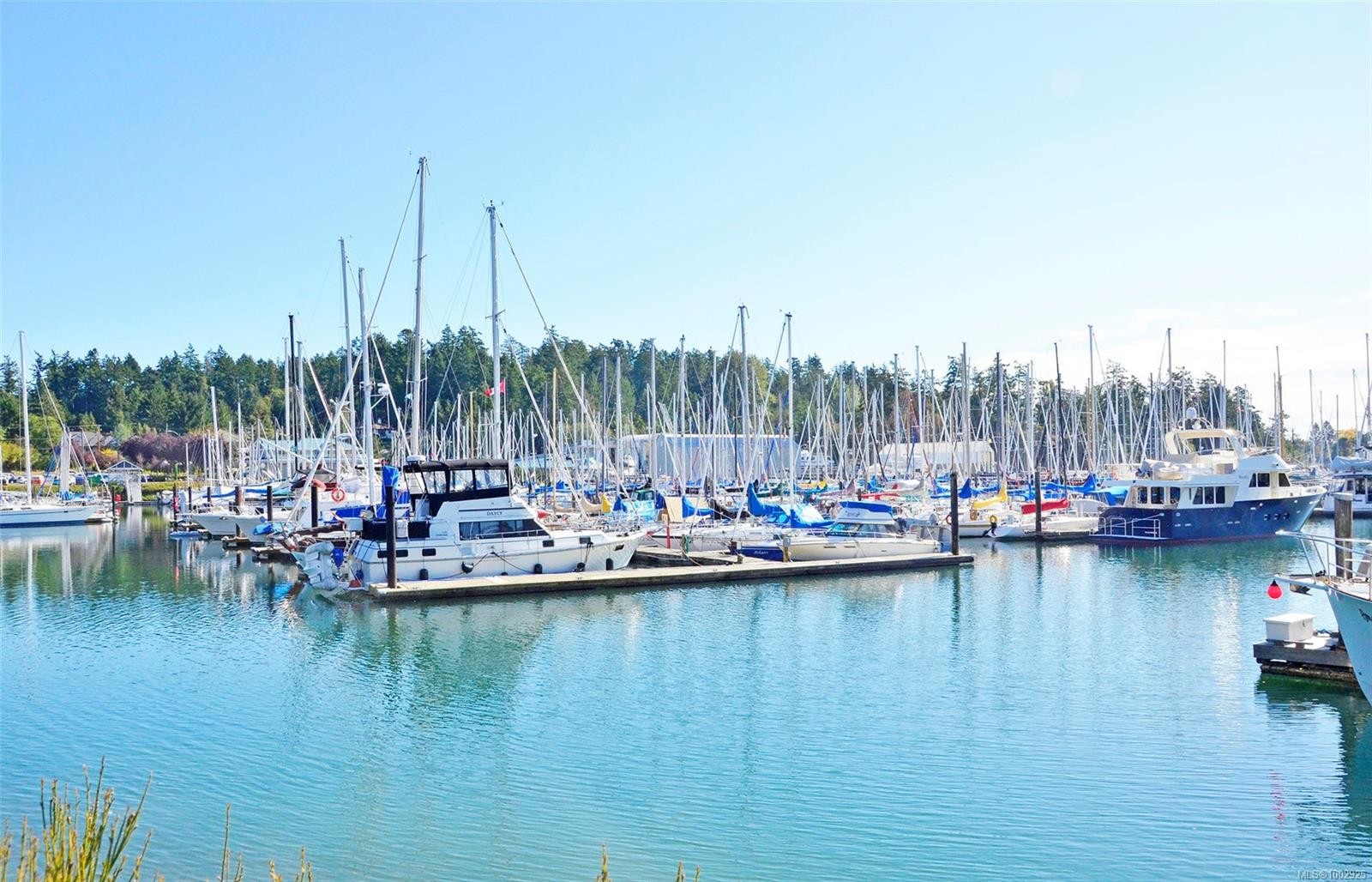 









2020


White Birch

Rd, 7,
Sidney,




BC
V8L 2R1


