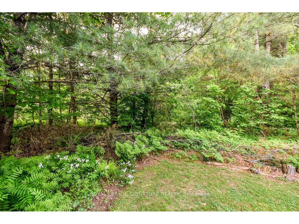 









7


Windsong

Crescent,
Bracebridge,




ON
P1L 1W9

