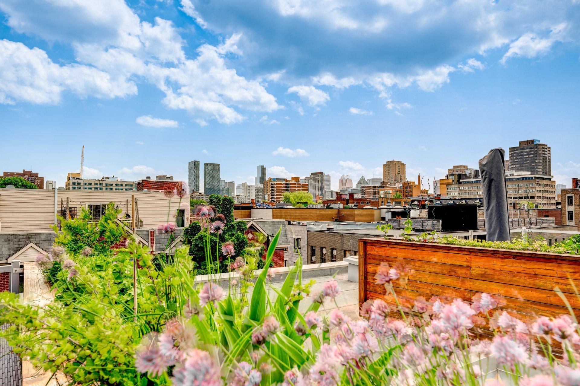 









55


Rue Roy E.

, 301,
Montréal (Le Plateau-Mont-Royal),




QC
H2W0A3

