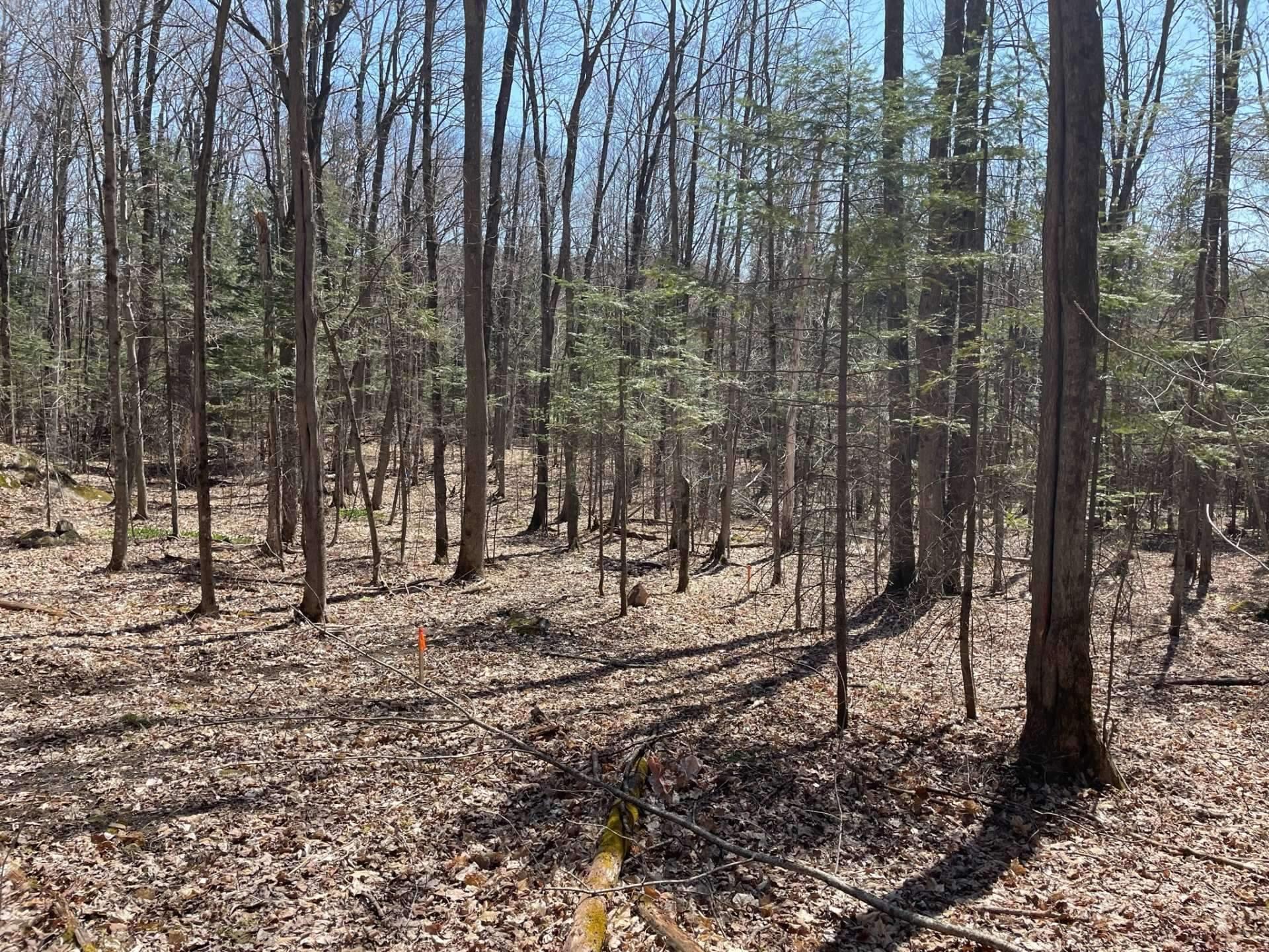 









124B


Ch. Pink

,
Cantley,







QC
J8V2Z5

