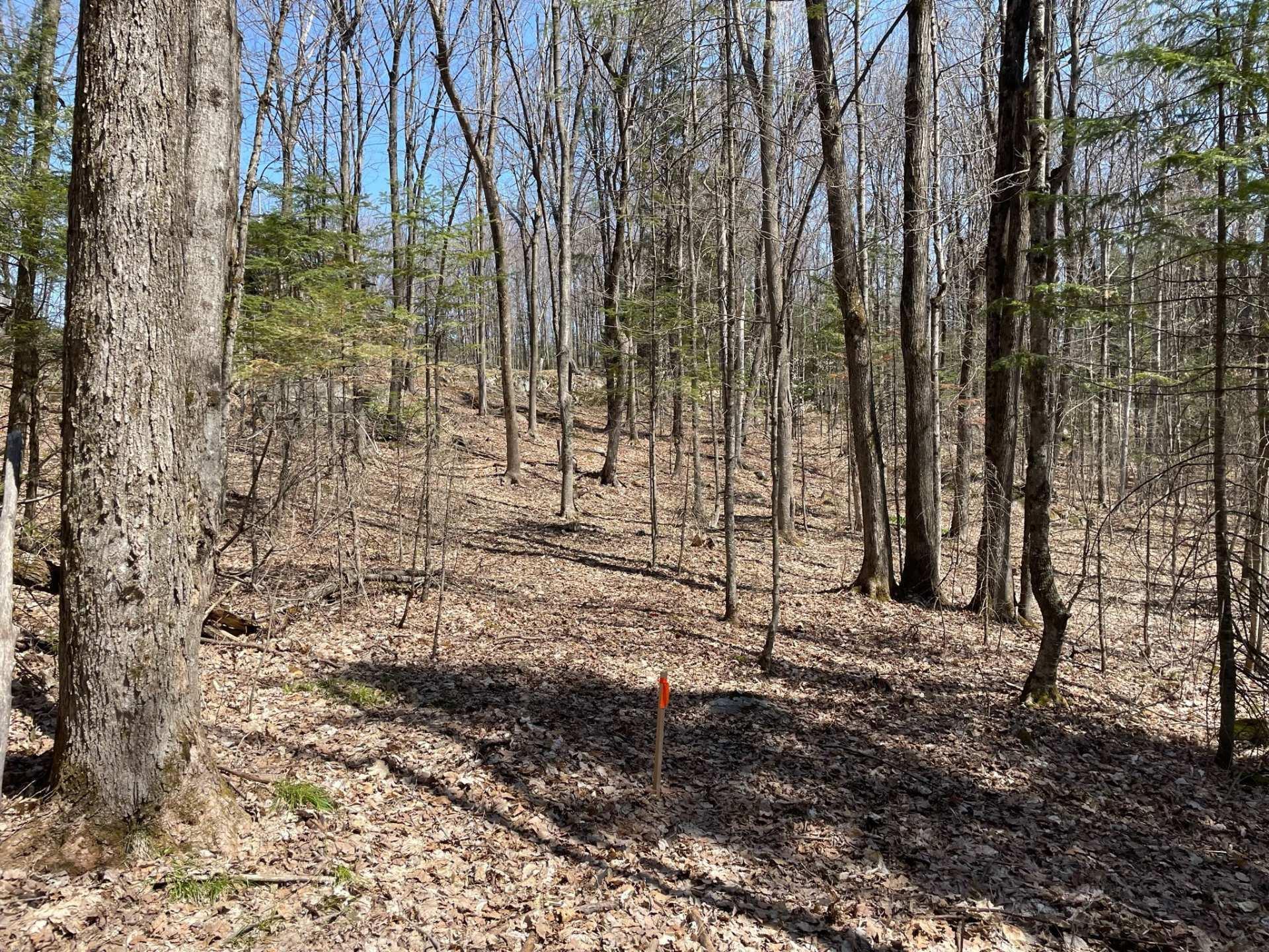 









124B


Ch. Pink

,
Cantley,







QC
J8V2Z5

