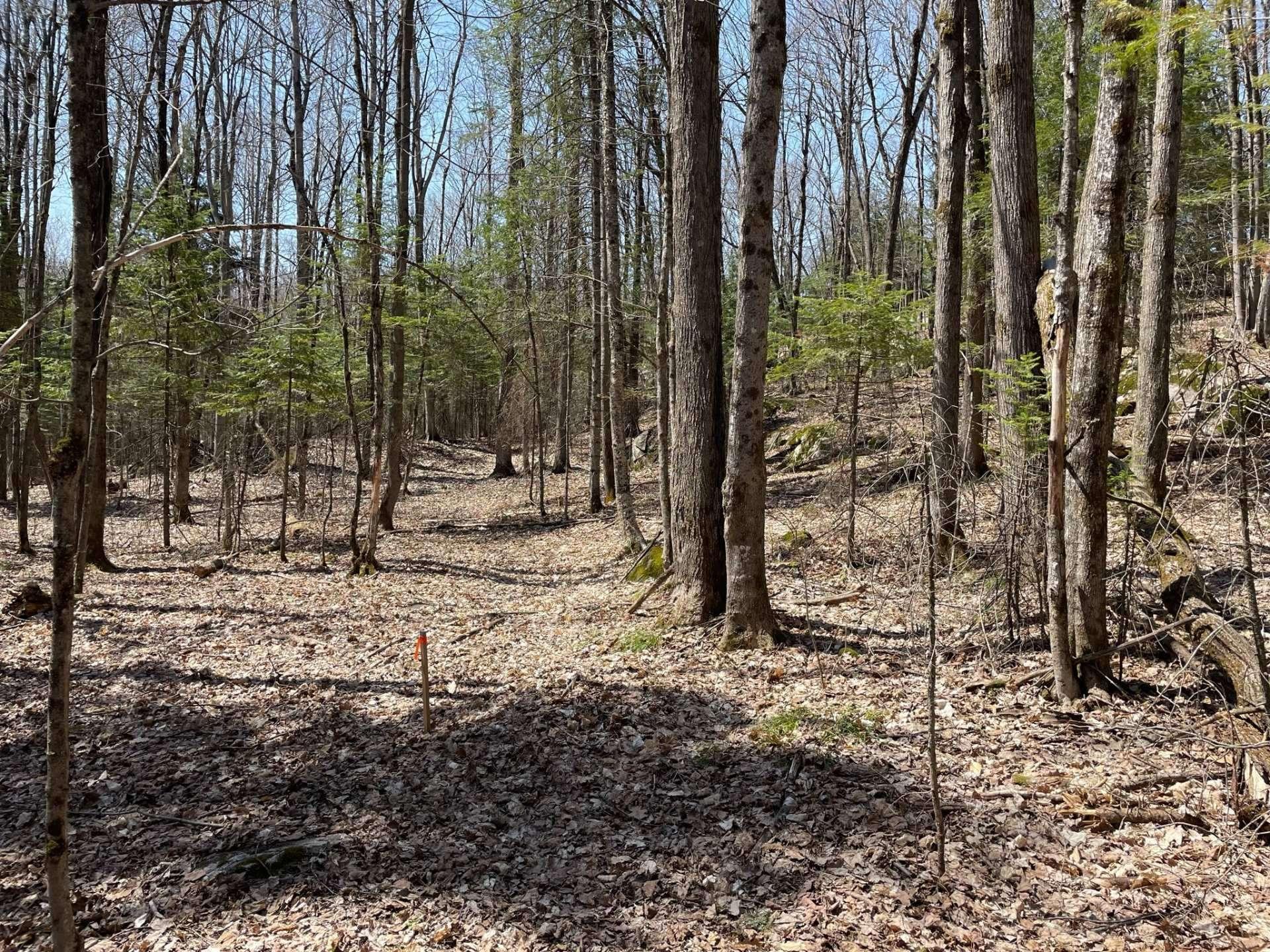 









124B


Ch. Pink

,
Cantley,







QC
J8V2Z5

