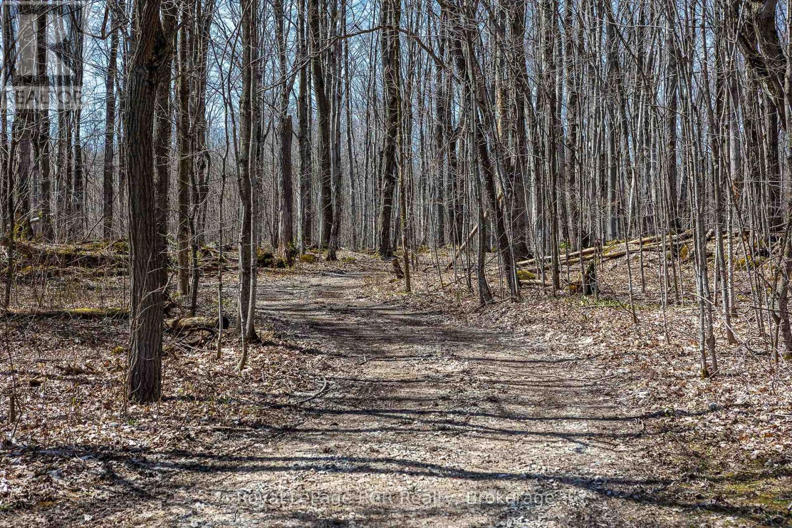 












126 WEST STREET

,
Georgian Bluffs,







Ontario
N4K5N7


