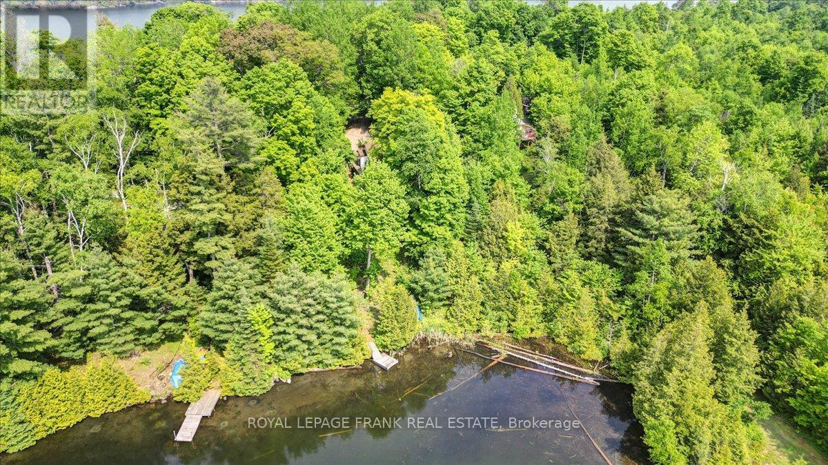 












538 SKENE ROAD

,
Marmora and Lake (Lake Ward),




Ontario
K0L1W0


